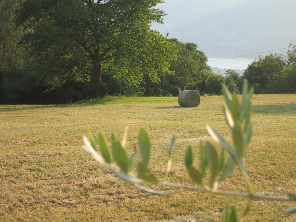 Agriturismo Deviscio レッコ エクステリア 写真