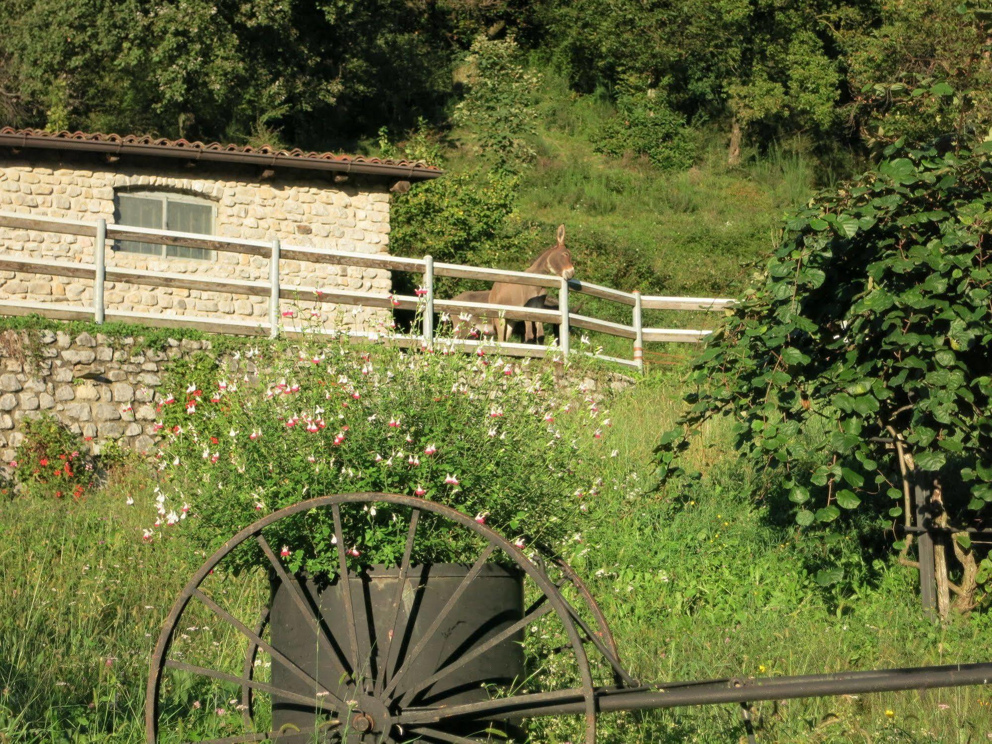 Agriturismo Deviscio レッコ エクステリア 写真